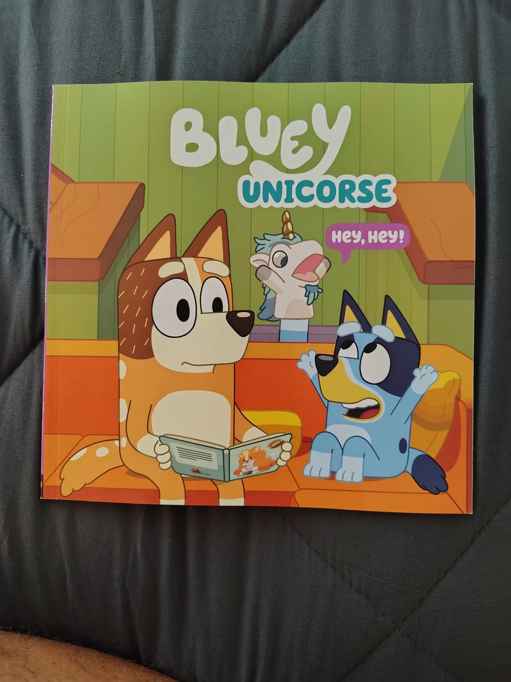 Bluey 12 Days of Christmas ,Shadowlands,Unicours & Bi-lingual Swim Course